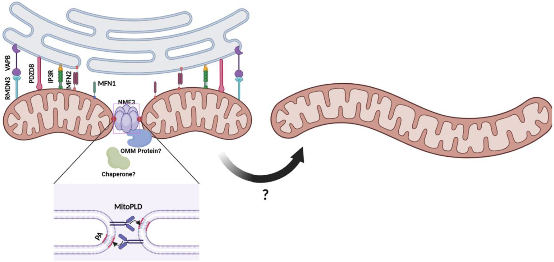Figure 1: