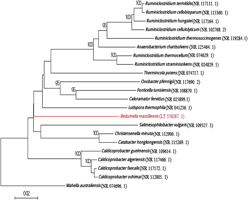 Fig. 1