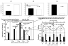 Figure 27