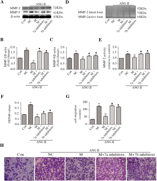 Fig 8