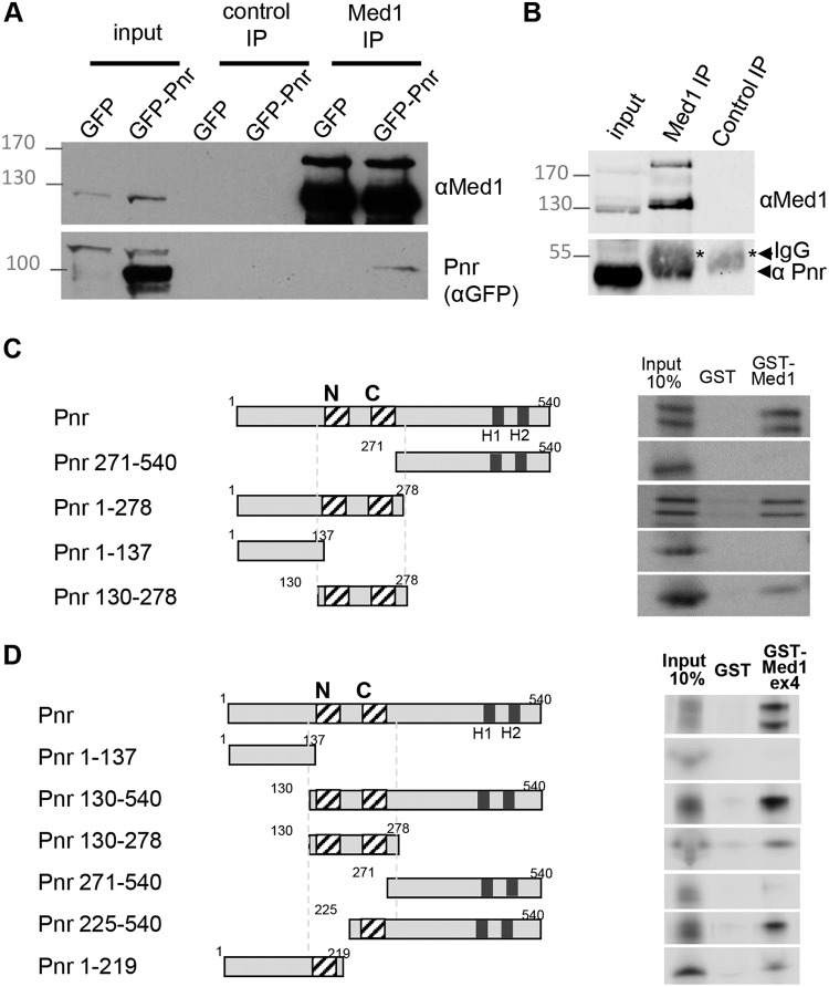 FIG 6