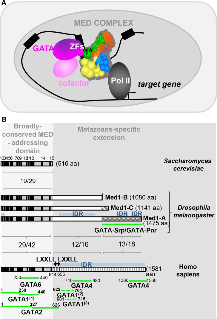 FIG 7