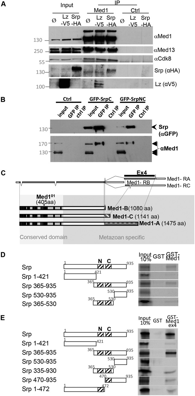 FIG 2