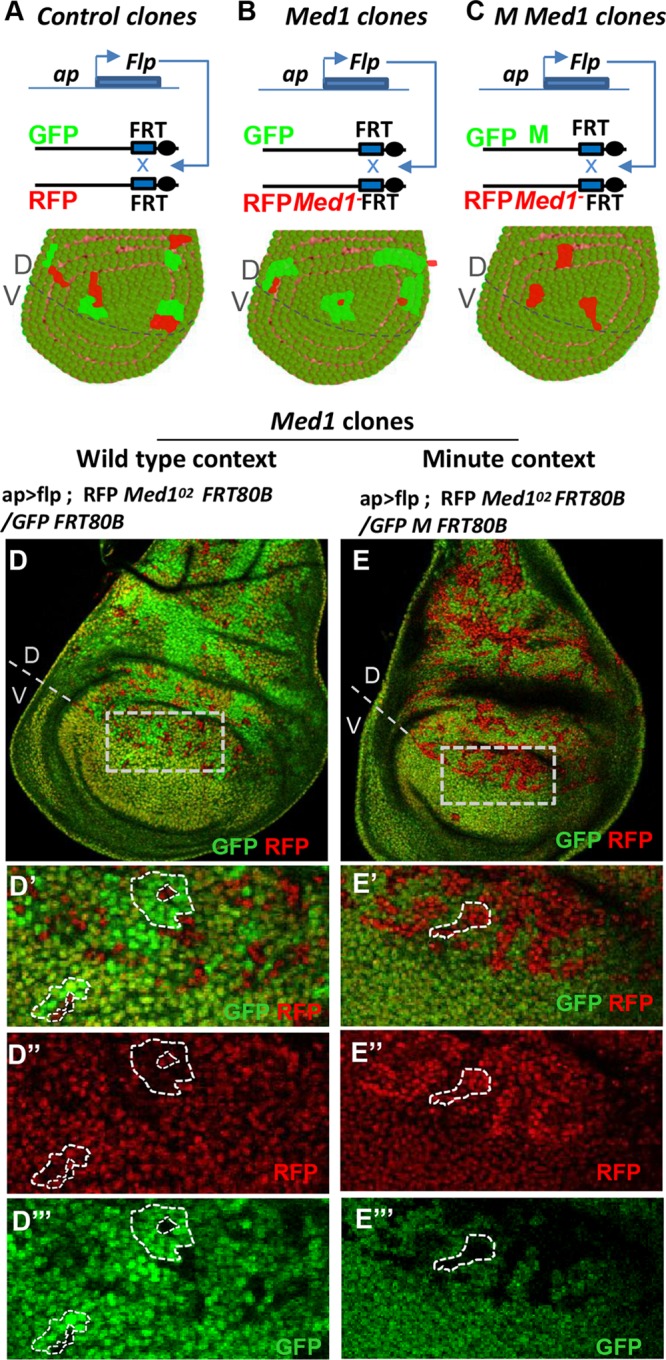 FIG 3