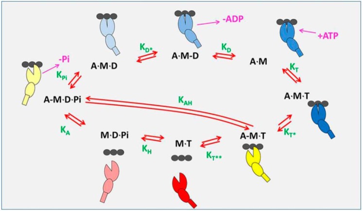 Figure 2.