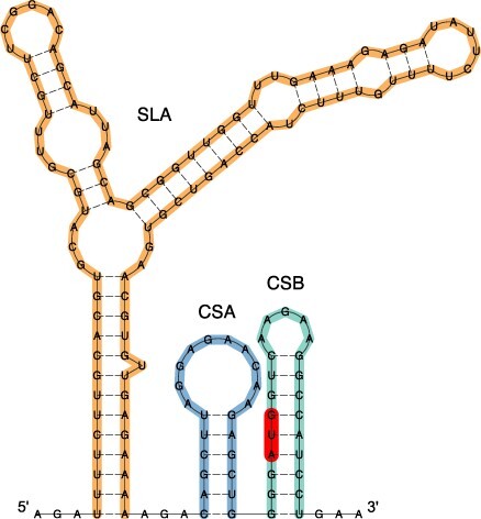 Figure 2.