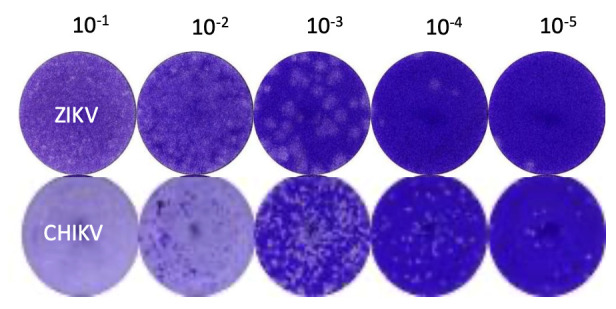 Figure 6.