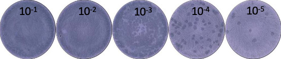 Figure 5.