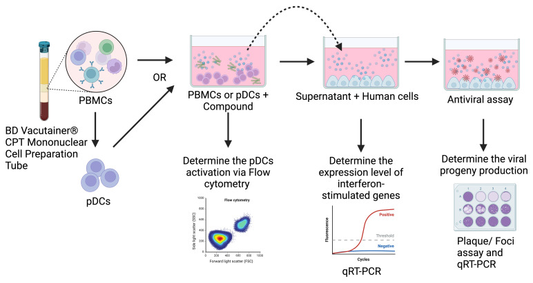 graphic file with name BioProtoc-15-5-5230-ga001.jpg