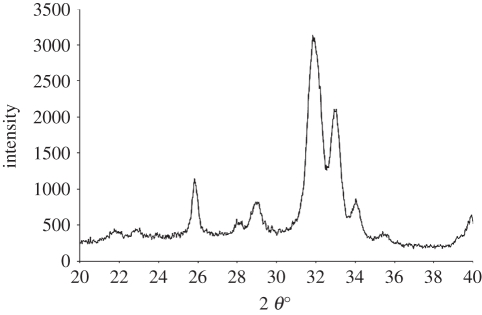 Figure 2.