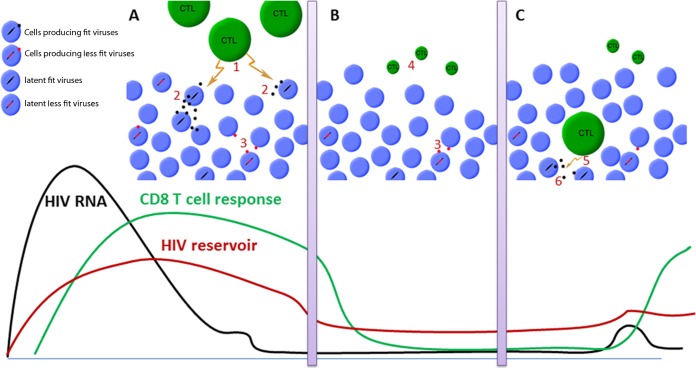 FIG 5