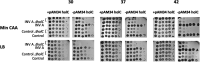 FIG 10