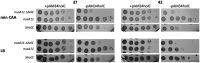 FIG 7