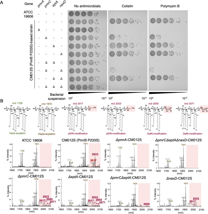 Fig 6