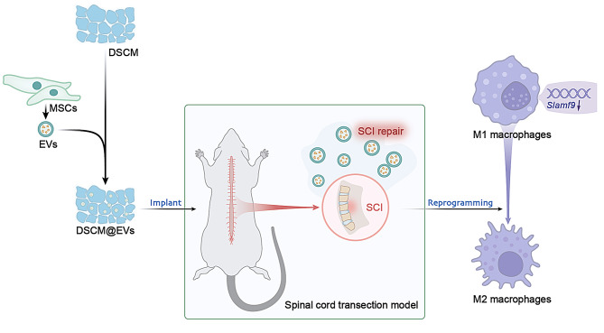 Fig. 10