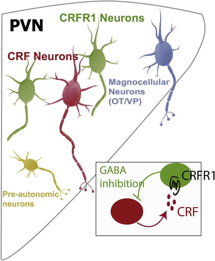 Fig. 2