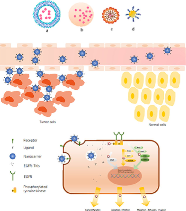 Image, graphical abstract