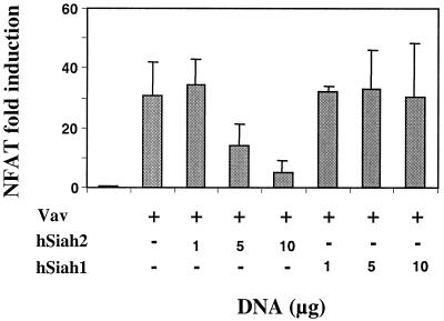 FIG. 6