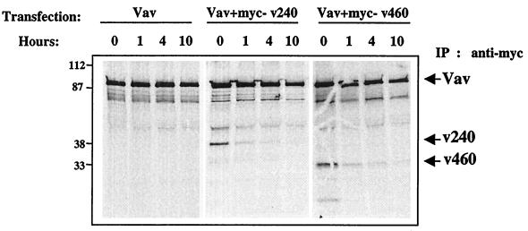 FIG. 8