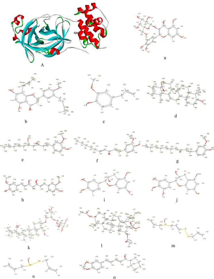 Fig. 1