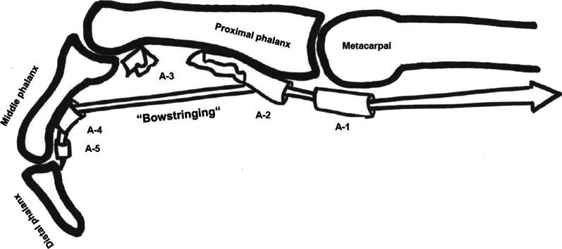 Fig. 9