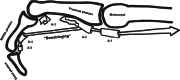Fig. 9
