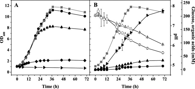 FIG 2