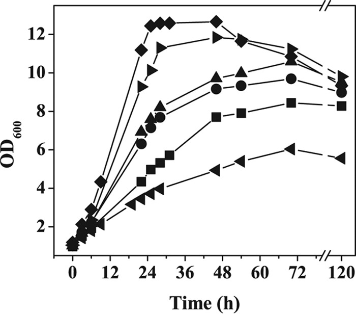 FIG 4