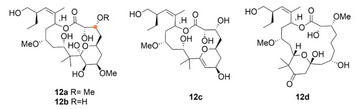 Figure 13