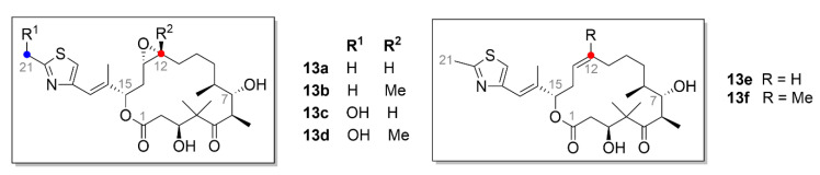 Figure 14