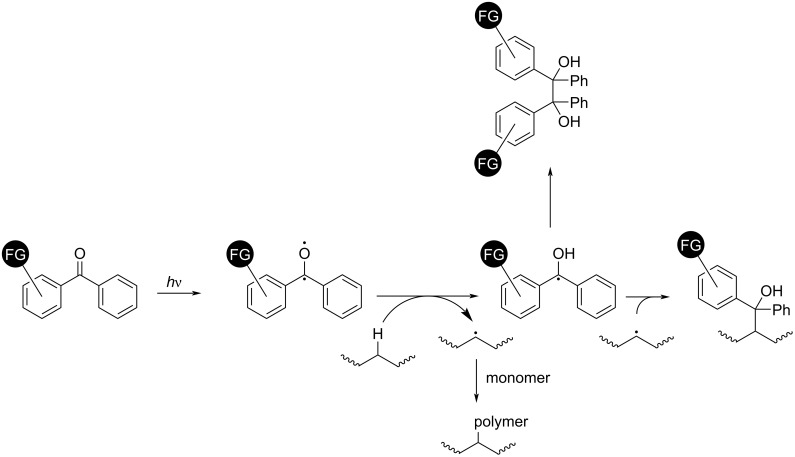 Scheme 19