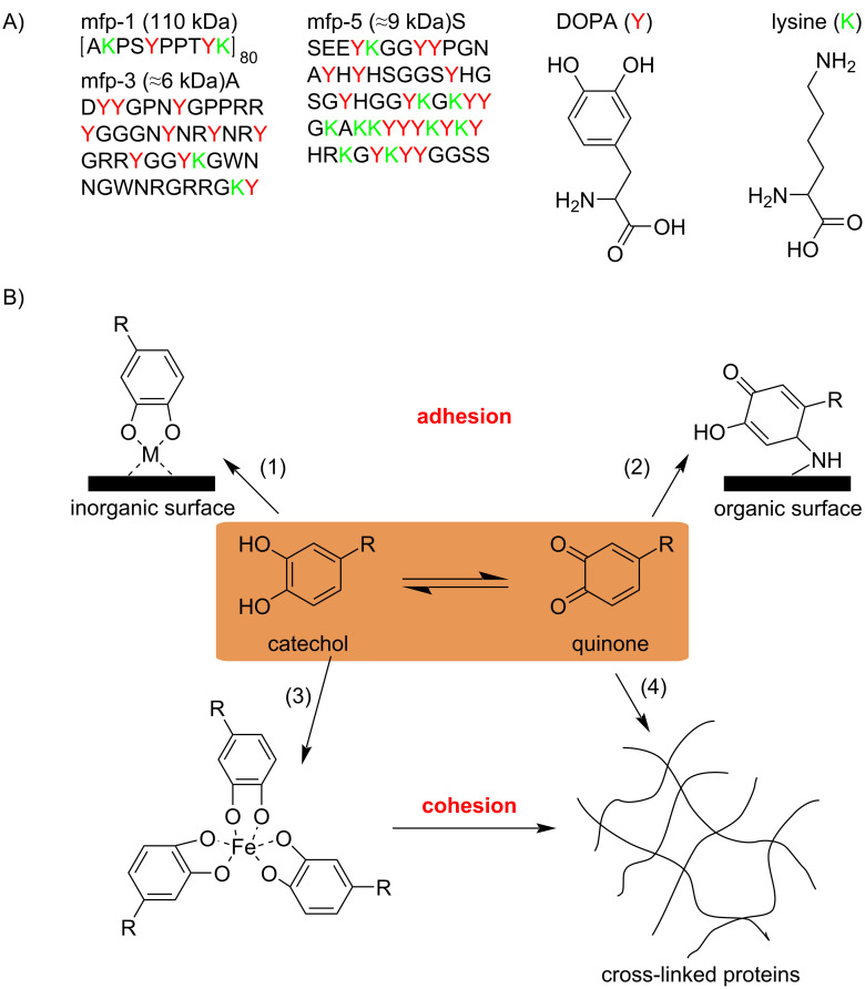 Scheme 3