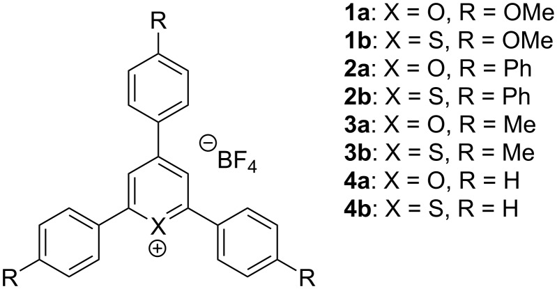 Scheme 13