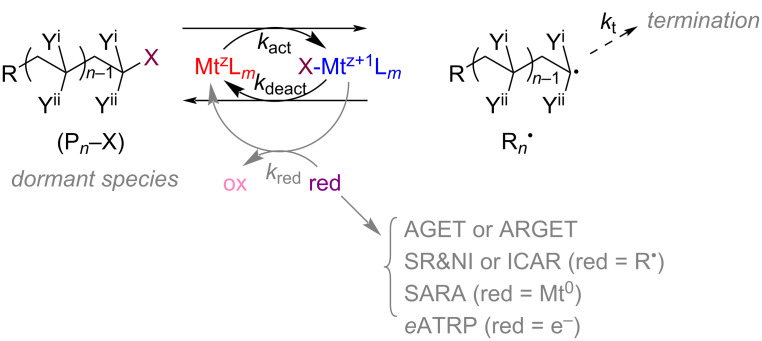 Scheme 5