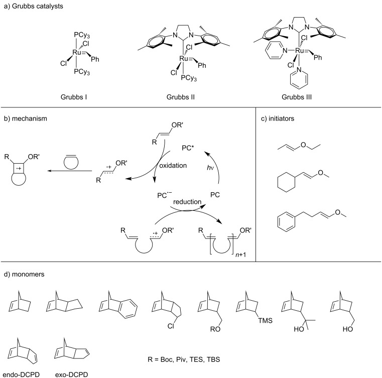 Scheme 12