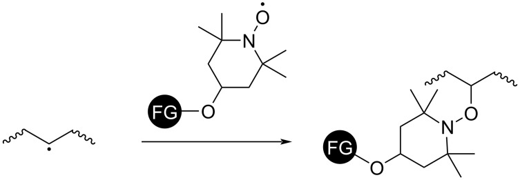 Scheme 15