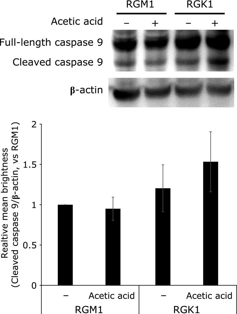 Fig. 6