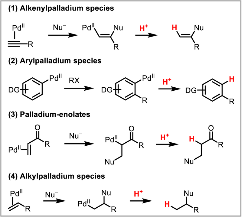 Scheme 3