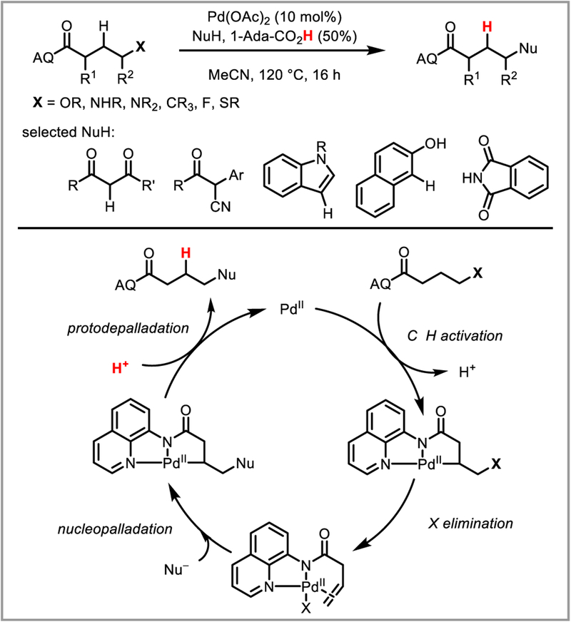 Scheme 33