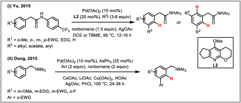 Scheme 19