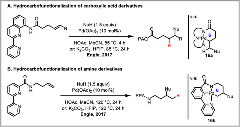 Scheme 34