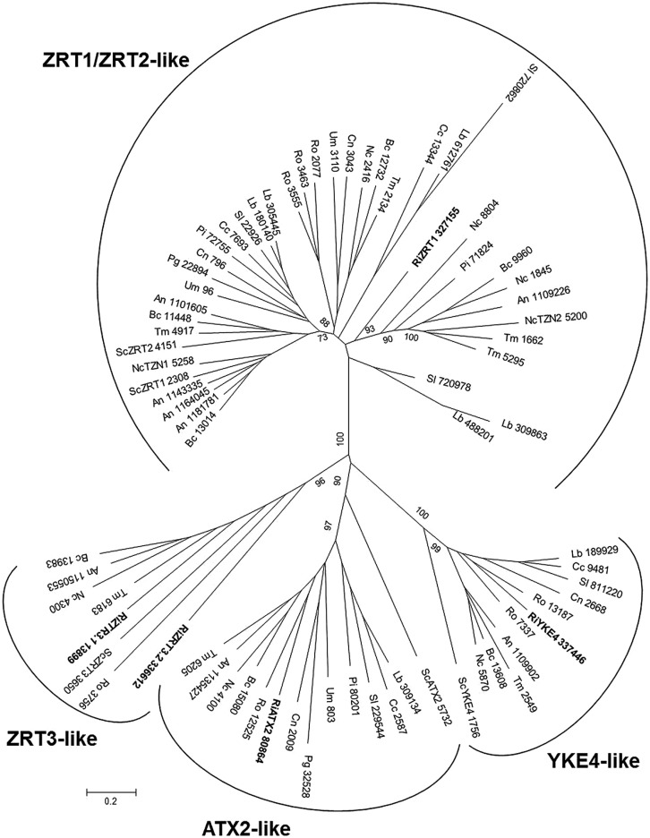 FIGURE 6