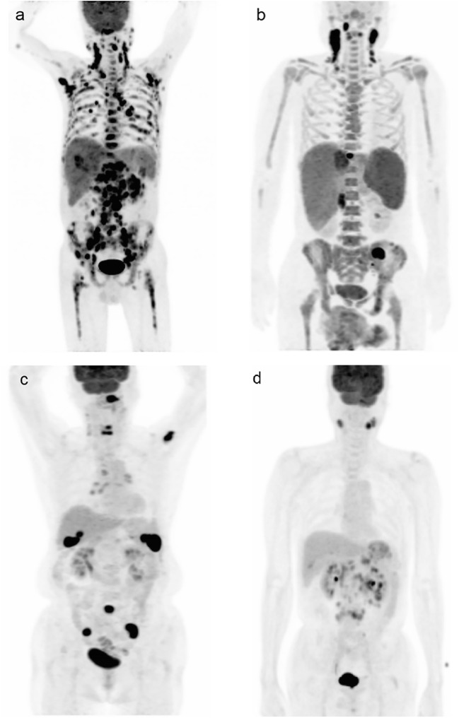 Fig. 2