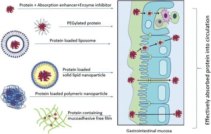 Graphical abstract