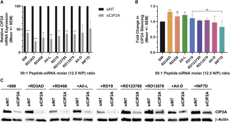 Figure 6