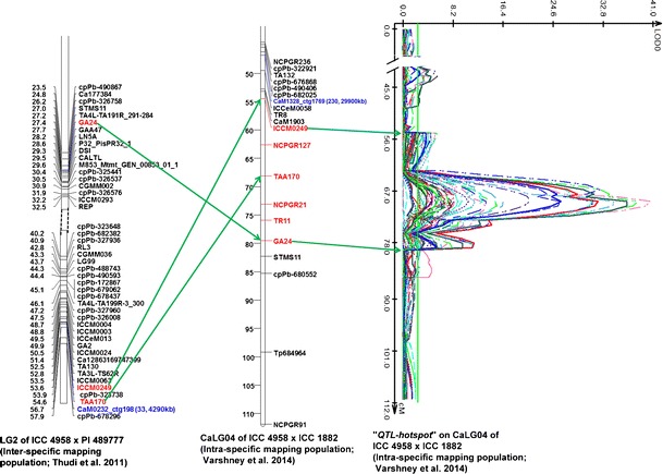 Fig. 4