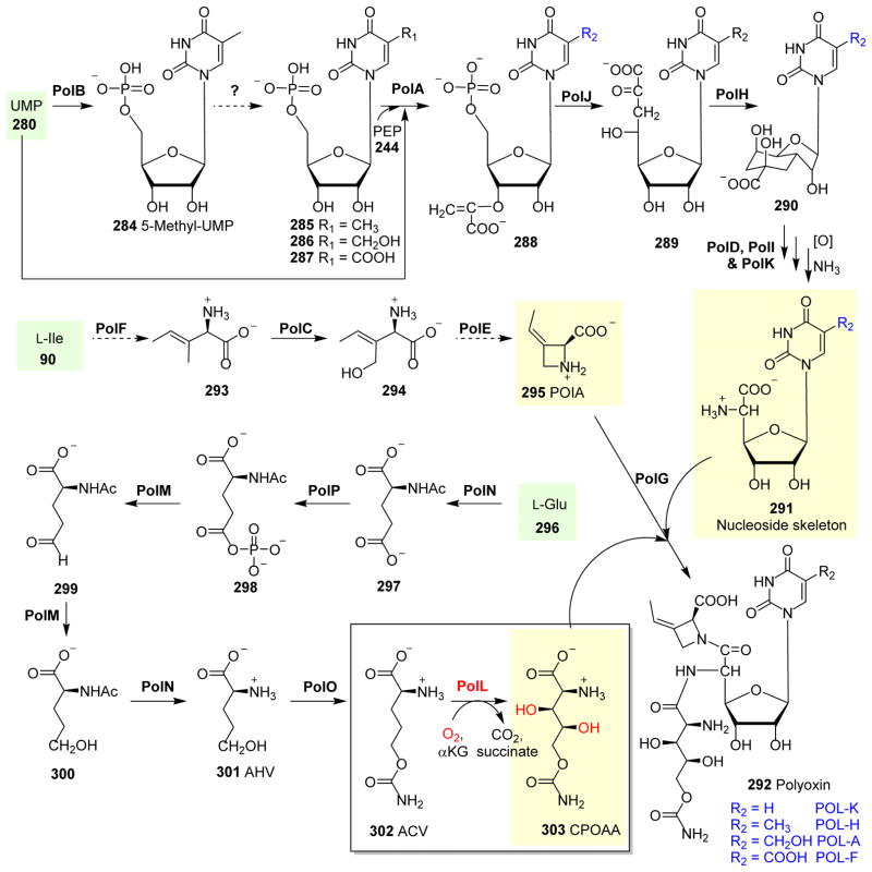 Fig. 31