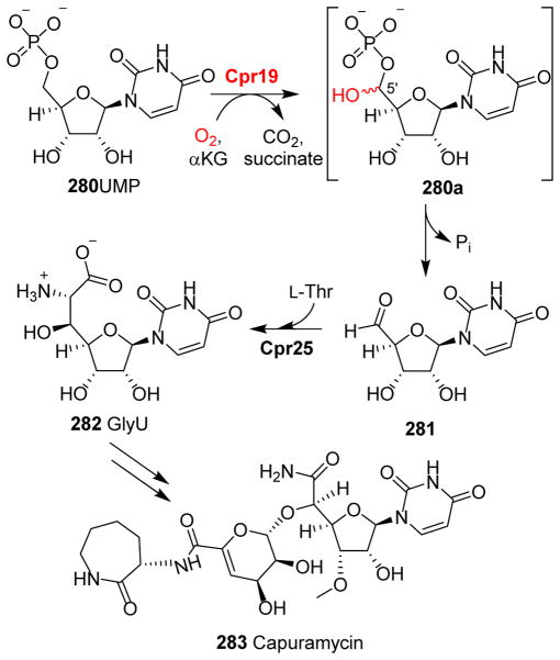 Fig. 30