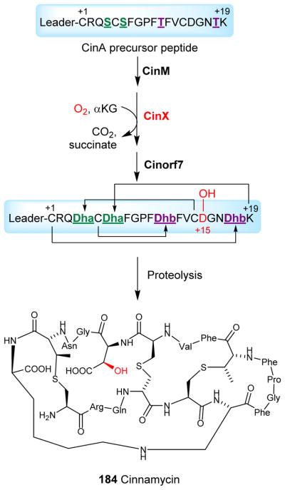 Fig. 20