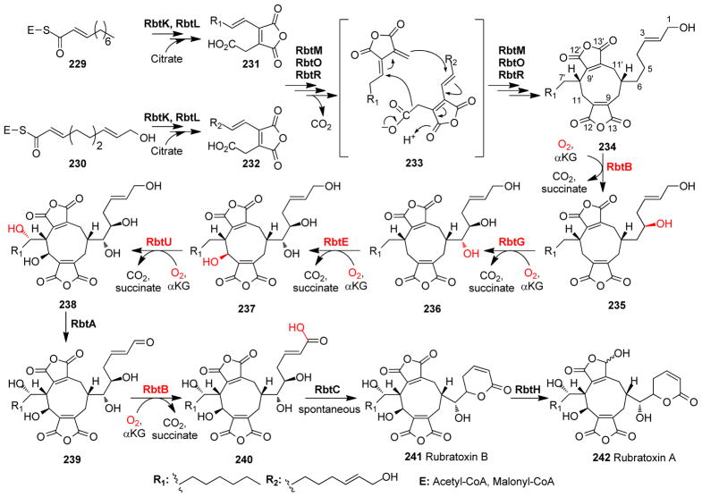 Fig. 26